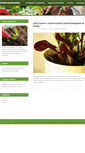 Mobile Screenshot of centro-jardineria.es